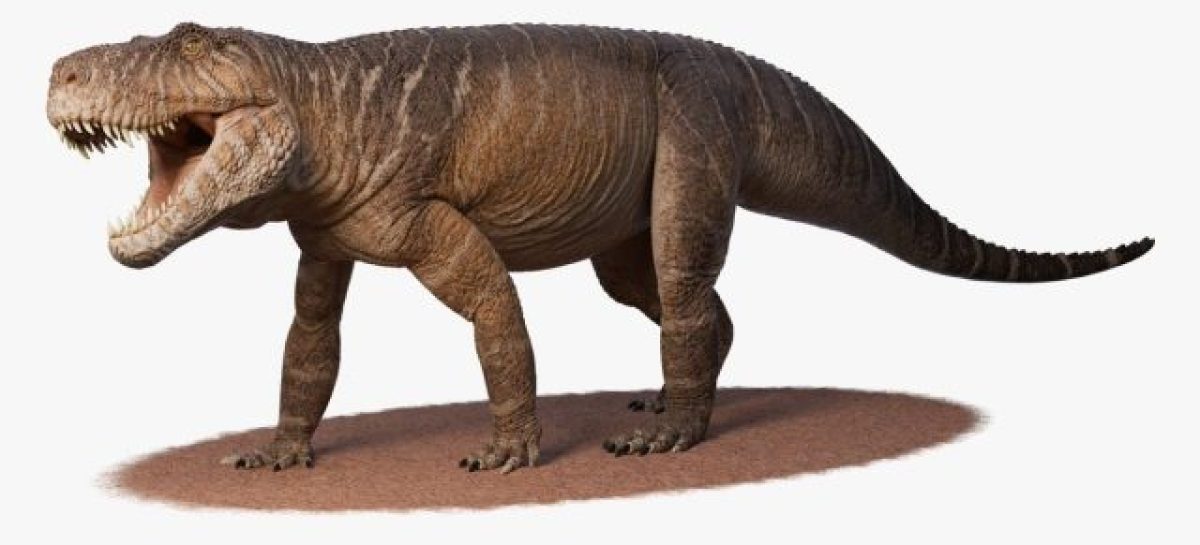 HALLARON EN LA RIOJA FÓSILES DE UNA NUEVA ESPECIE DE DINOSAURIO