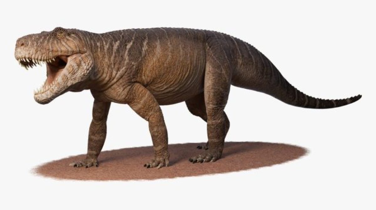 HALLARON EN LA RIOJA FÓSILES DE UNA NUEVA ESPECIE DE DINOSAURIO
