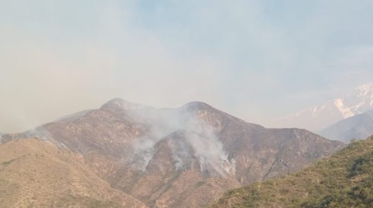 EL INCENDIO FORESTAL EN CHILECITO QUEMÓ ALREDEDOR DE 1.100 HECTÁREAS