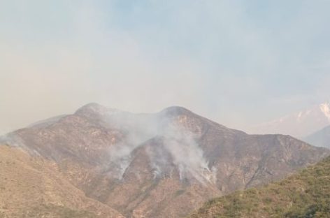 EL INCENDIO FORESTAL EN CHILECITO QUEMÓ ALREDEDOR DE 1.100 HECTÁREAS