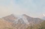 EL INCENDIO FORESTAL EN CHILECITO QUEMÓ ALREDEDOR DE 1.100 HECTÁREAS