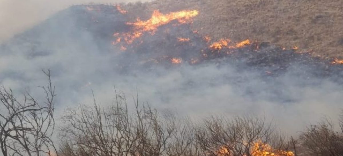 EL INCENDIO FORESTAL EN GUANCHÍN SE ORIGINÓ POR UNA FOGATA MAL APAGADA