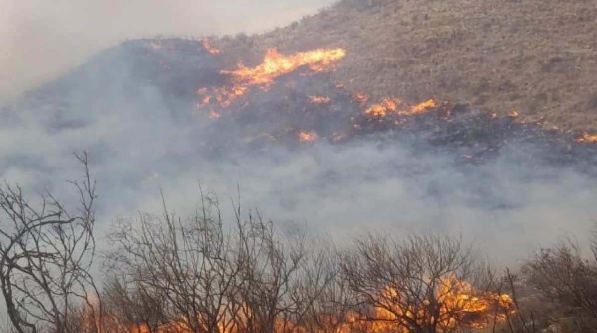 EL INCENDIO FORESTAL EN GUANCHÍN SE ORIGINÓ POR UNA FOGATA MAL APAGADA
