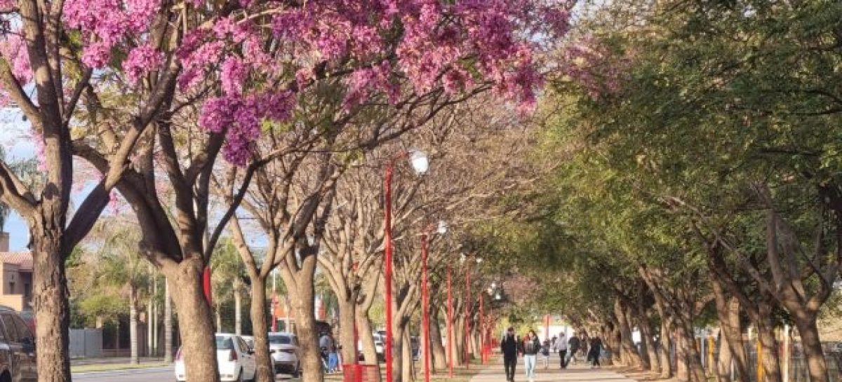 SE VIENE UNA PRIMAVERA CON TARDES CÁLIDAS Y CASI SIN LLUVIAS