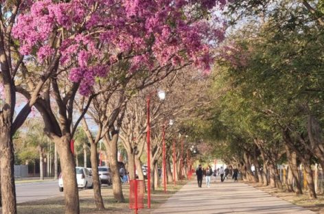 SE VIENE UNA PRIMAVERA CON TARDES CÁLIDAS Y CASI SIN LLUVIAS