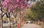 SE VIENE UNA PRIMAVERA CON TARDES CÁLIDAS Y CASI SIN LLUVIAS