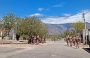 EJERCICIOS MILITARES EN LA RIOJA. «NOS SORPRENDIÓ, HUBO UN EXCESO»