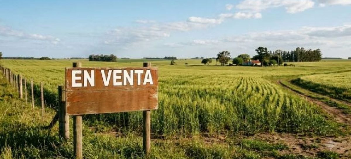 LA CORTE DEFENDIÓ SU FALLO Y DIJO QUE RESOLVIÓ SOBRE UN TEMA PROCESAL Y NO SOBRE LA VALIDEZ DE LA LEY DE TIERRAS