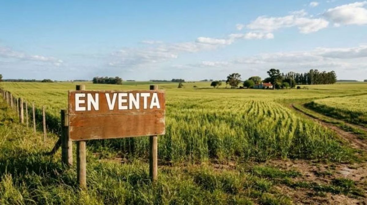 LA CORTE DEFENDIÓ SU FALLO Y DIJO QUE RESOLVIÓ SOBRE UN TEMA PROCESAL Y NO SOBRE LA VALIDEZ DE LA LEY DE TIERRAS